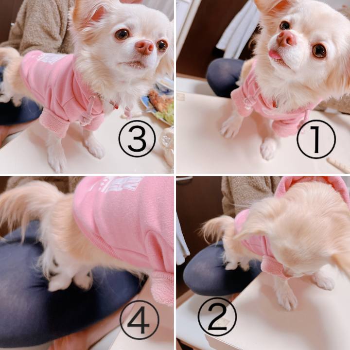 D42edad1 722d 4270 bb8d ba115881df2d 1674885783434