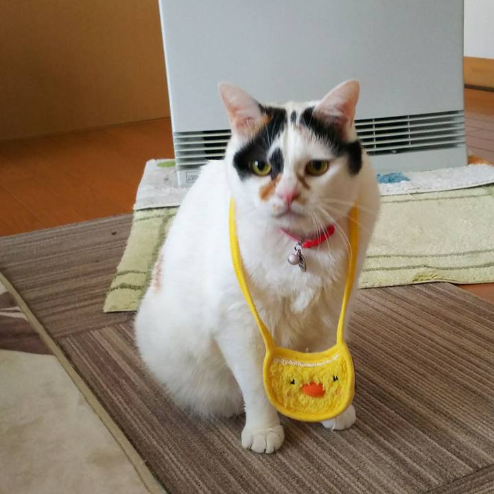 D42f0b89 3e41 4cc8 960b 0b09b1366b27 1518562983270