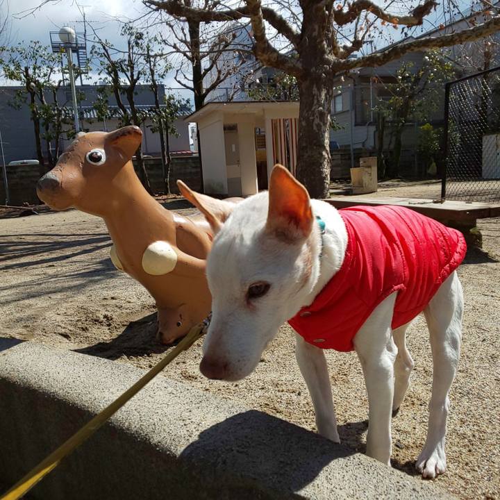 D42f23dd 1e2b 4fbb 9c62 5bdabd99f603 1552012664301