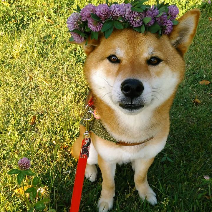 D42f473f f0ab 4acb 93d8 d936e91aa99e 1525522775880