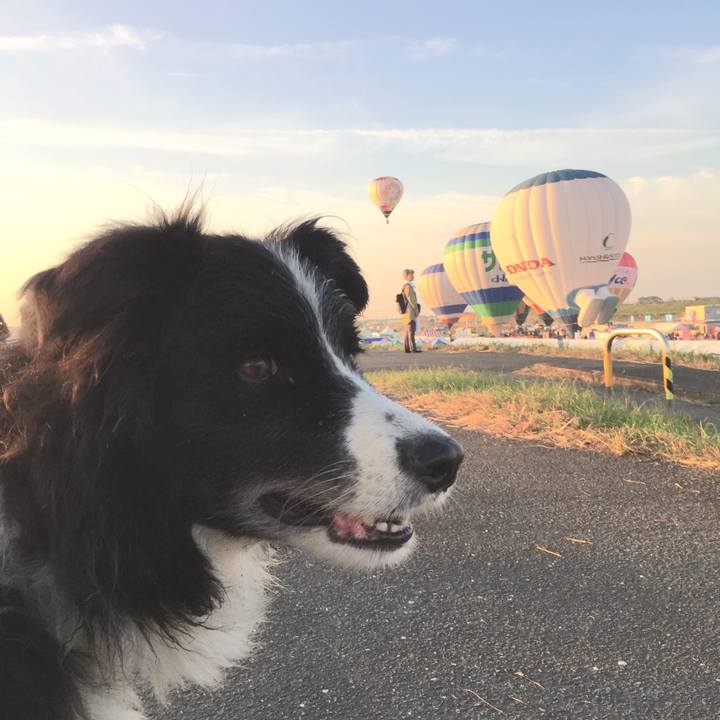 D42f4cf9 359a 477e b617 5a710f31698b 1572559562292