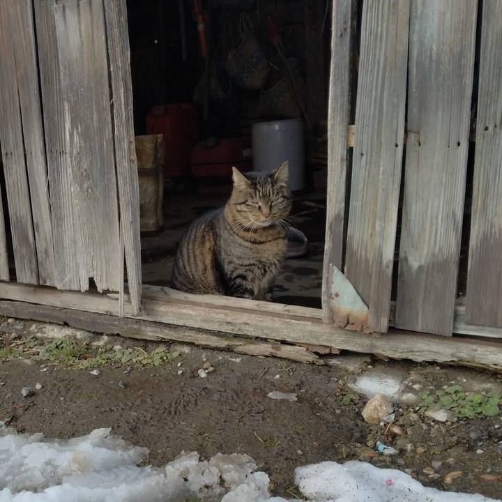 D42f4f5f 0a21 4dc5 9d45 88a8b3476e9d 1673420636584