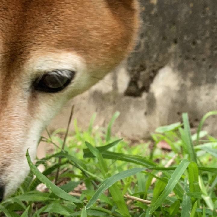 D42f9a96 65ed 4126 9419 cf6079571f7c 1665549013169