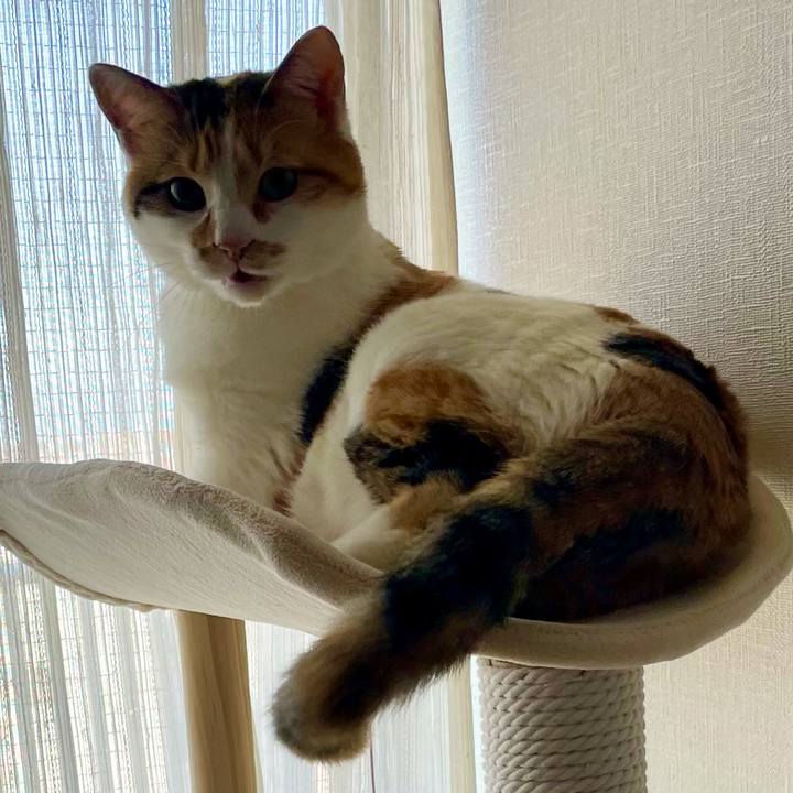 D42fa847 48c4 4595 bf6f c8e49305f48a 1616459388128