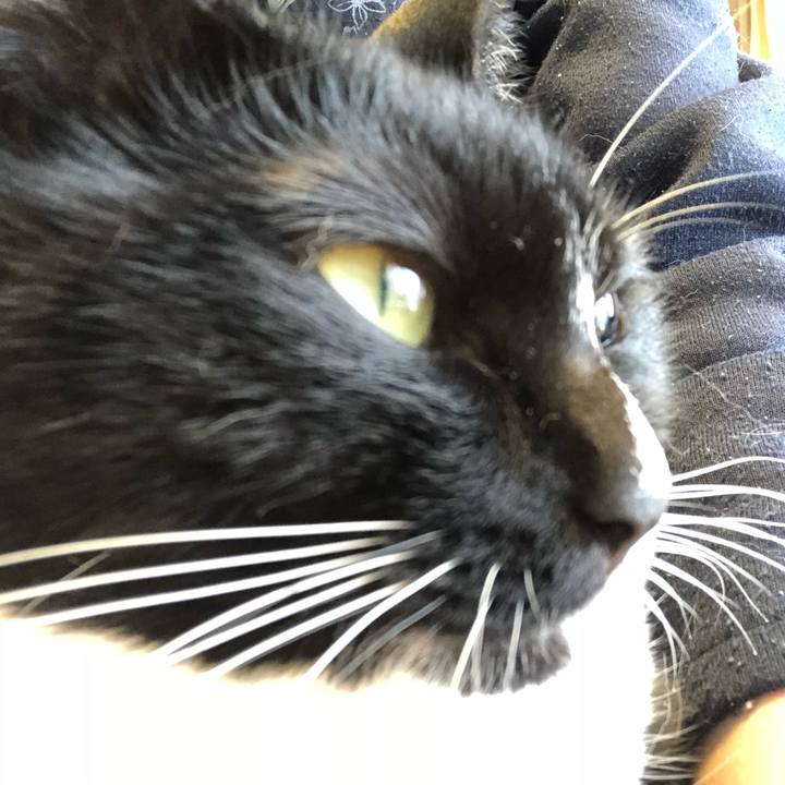 D42fab41 5575 411b 9a7c 42ea80f926f8 1520891253817