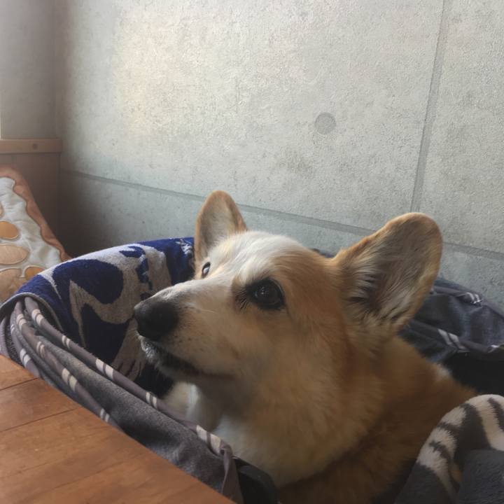 D42fc660 4c5d 41f4 b6ca 2899fdacd131 1572274410536