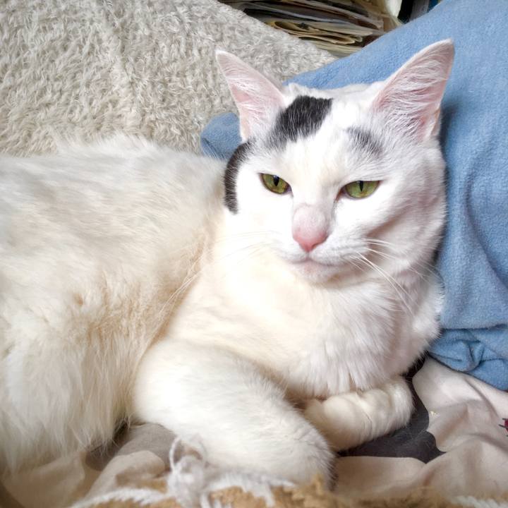 D42febc8 9c03 4c37 9743 40ae1e1bf1f0 1580369141791