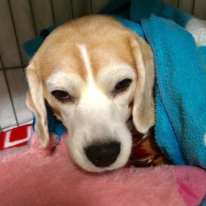 D42feeb9 3050 4a65 8d71 462fd763419d 1550115091933