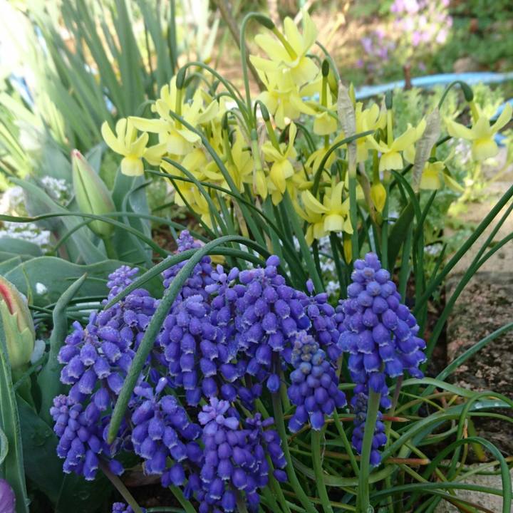 D4301e55 927f 448b b7c0 7184e8946364 1522295697030