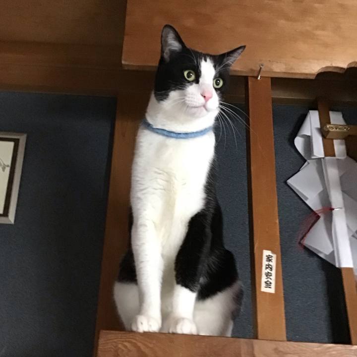 D430370e fced 40b9 90a6 5a270ab38230 1740976160167