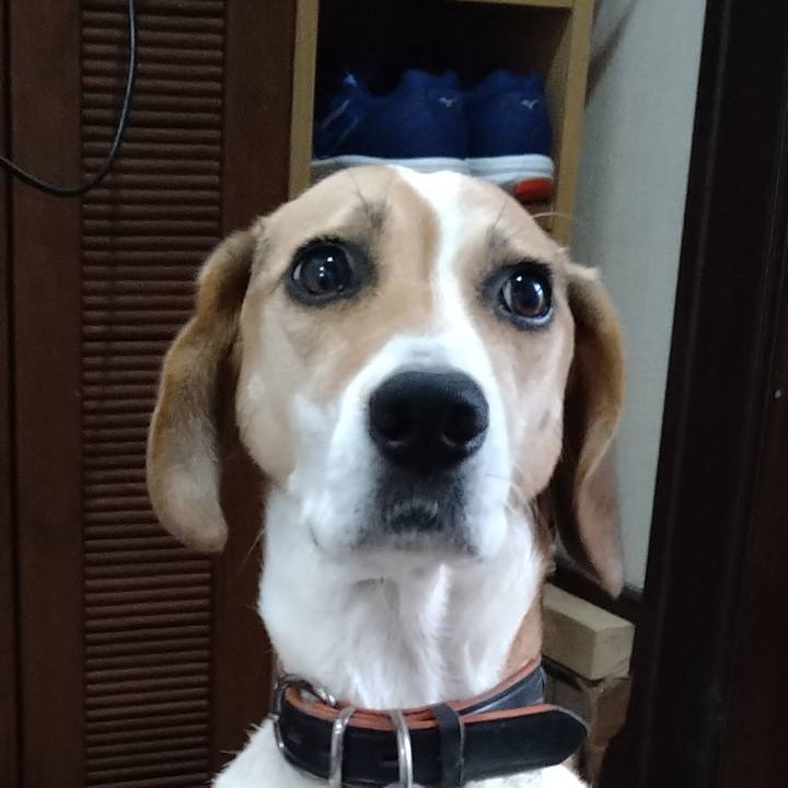 D4303c38 61e1 4a2d 9d14 155a44809447 1633266529537