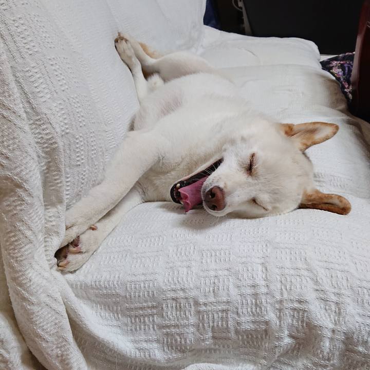 D4309ae1 853e 4018 8f22 533bbc5bedb5 1565964199689