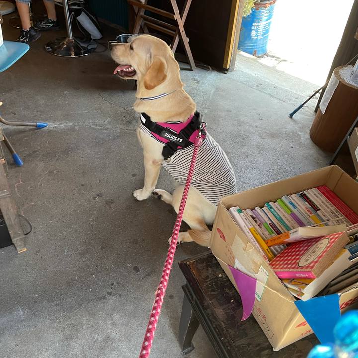 D430b67d 56e6 496d 8499 c2fae238c0e3 1628135262218