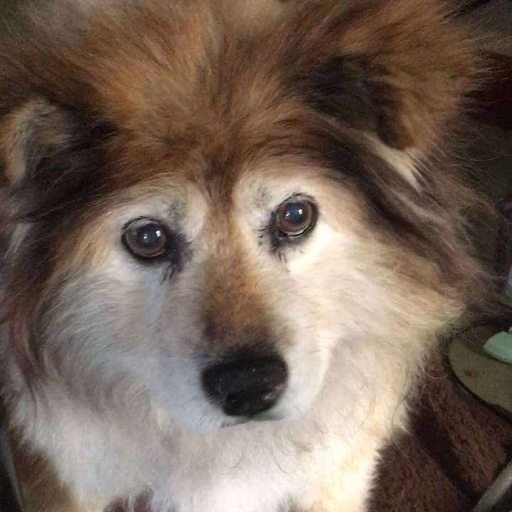 D430babc dbe9 4fcd 8277 c03924e9e455 1575635222851