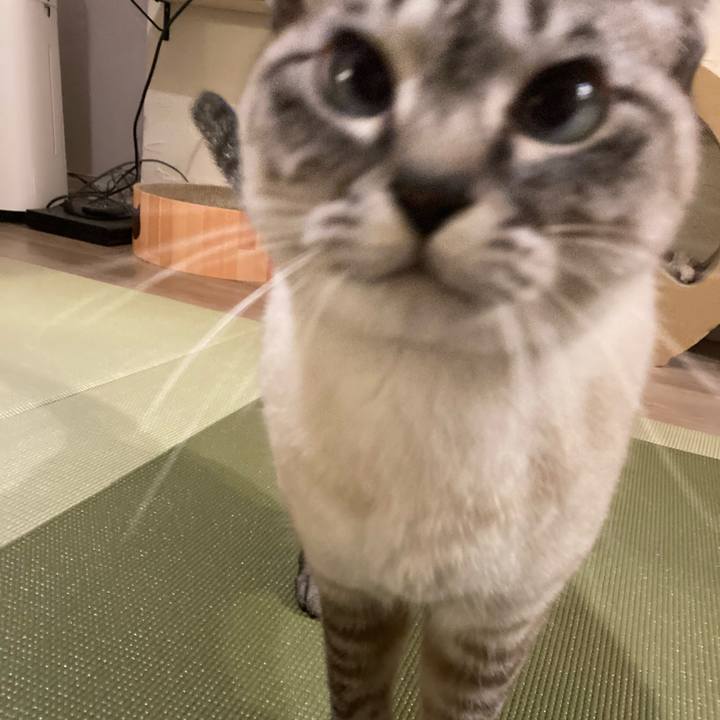 D430dcd6 a02b 45f7 b834 0a7bfdc7723c 1673950976320