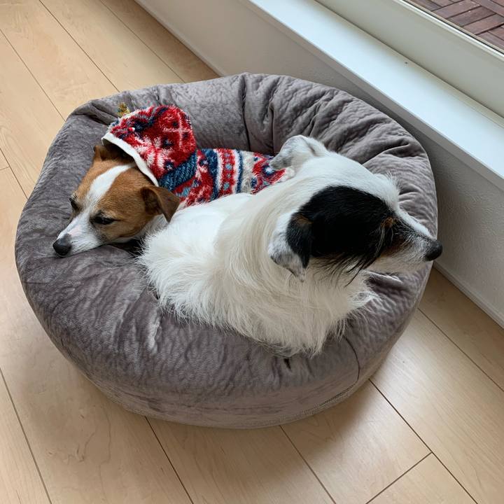 D43125a2 f26f 4c5c a66d 6a389eeb189e 1583295230065