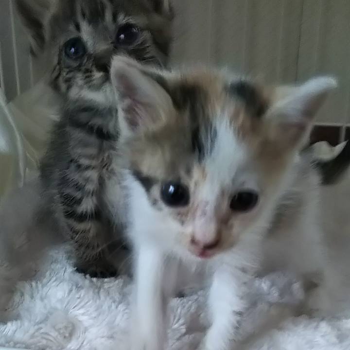 D4313649 d26b 41e1 87cb 597cef090278 1632034469879