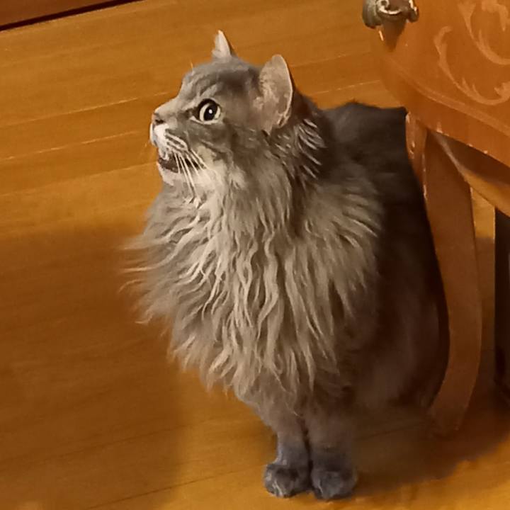 D4315944 7b76 4fdb 8a9a ba9380690398 1615244151004