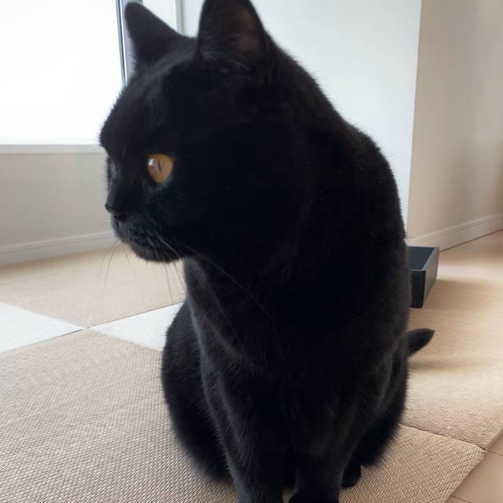 D4317879 3f96 414e af7e 9c91d2679605 1650962670691