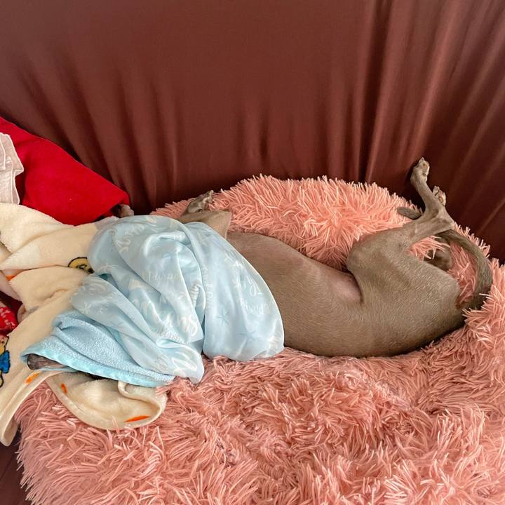 D4317e1f e8b8 4863 9b83 ba9db8adede7 1758622360738