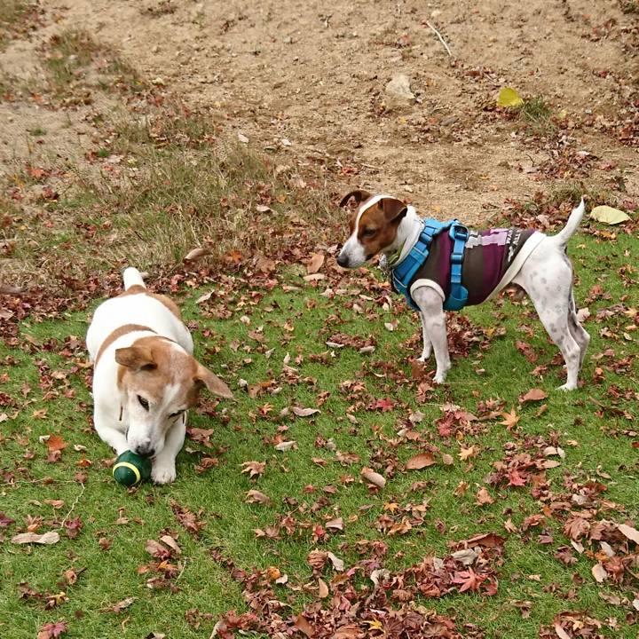 D431943f f696 487a a509 12950b151bbc 1605784976268