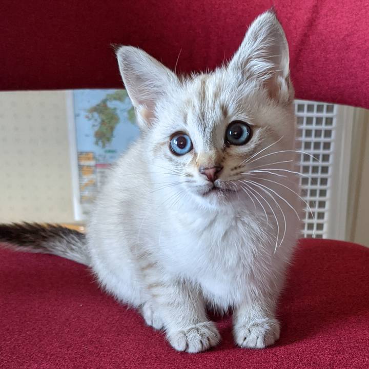 D43194a2 b8ab 4d80 8c38 9842664fc80e 1759099098439