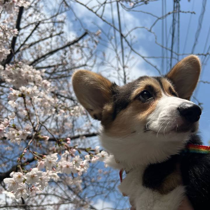 D431acd2 5893 40de 9291 063fae868177 1774667325385