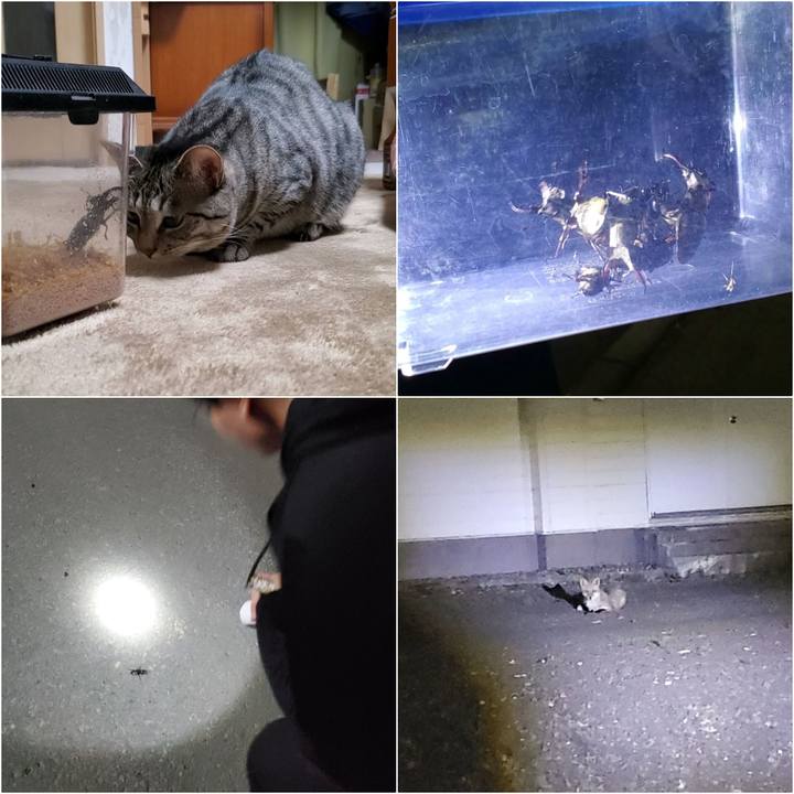 D431b59a 8241 4d67 bbb1 ed3946b11be6 1719930871263