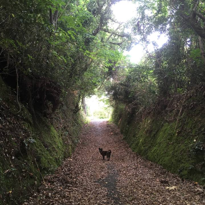 D4323219 4896 4c14 b829 45ed660d33f7 1527294747789