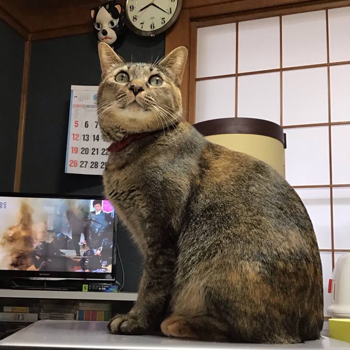 D4324af7 da1a 404a 83af 530233c00d8e 1639094729206