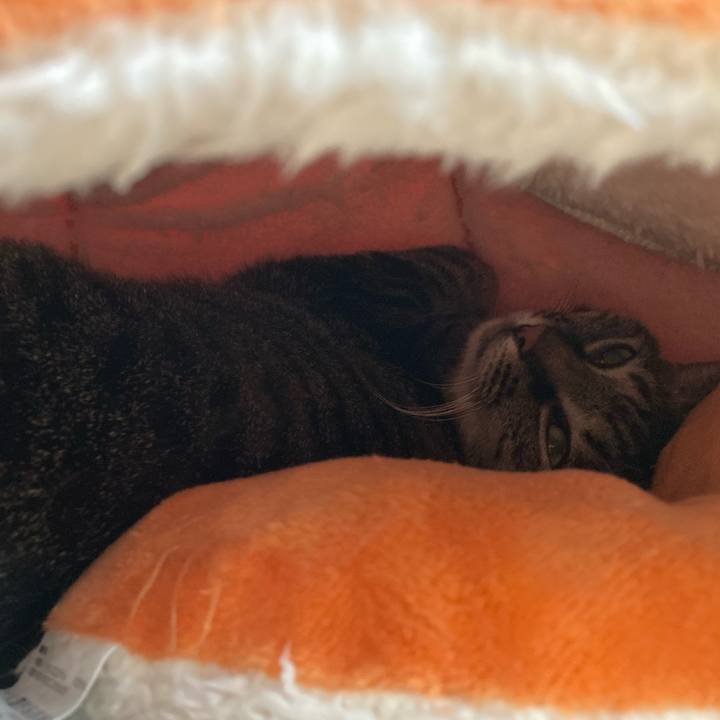 D432603a d466 4d4e 941c 25f182603707 1697697064145