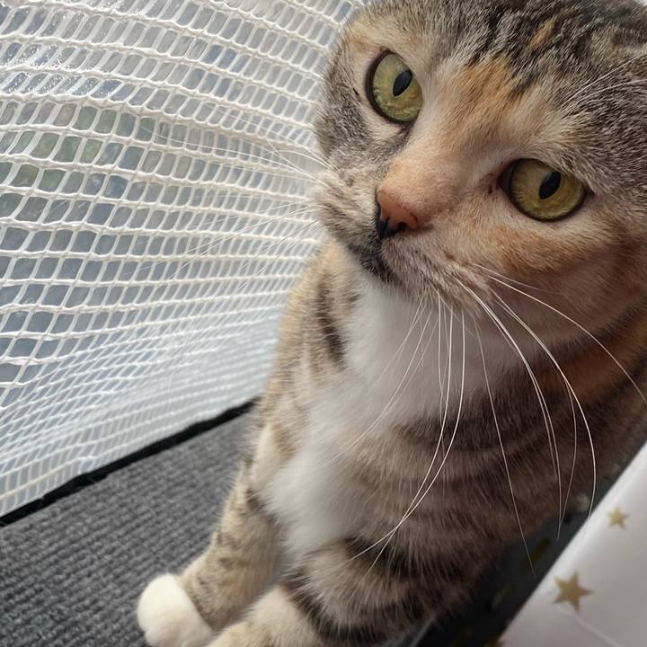 D432abfa 26bf 4b2d 8346 8bfbfa035fd5 1620876619137