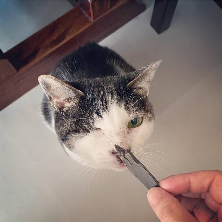 D432bf4a 9e40 443f aea8 a3292e5add12 1582448555352