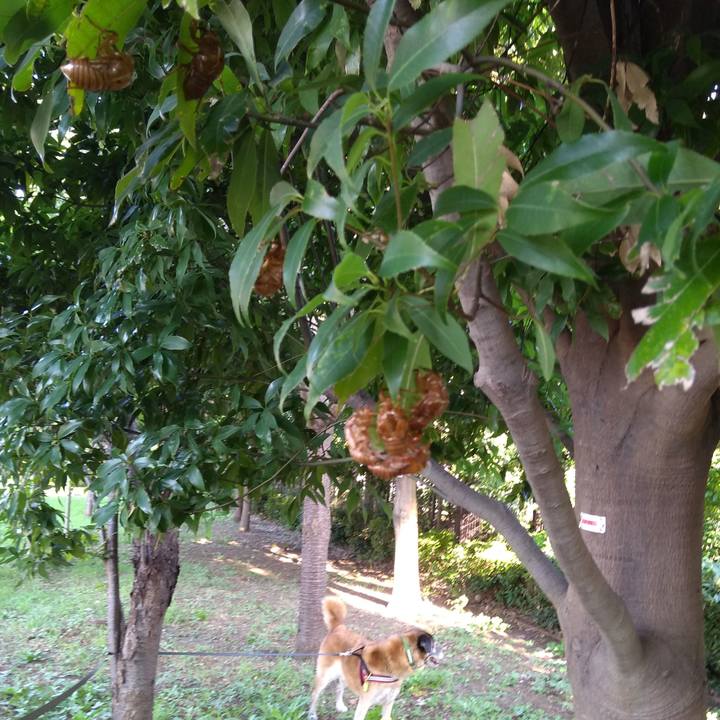 D432ea01 ea93 4759 80a9 2a4813589c0e 1565305816715