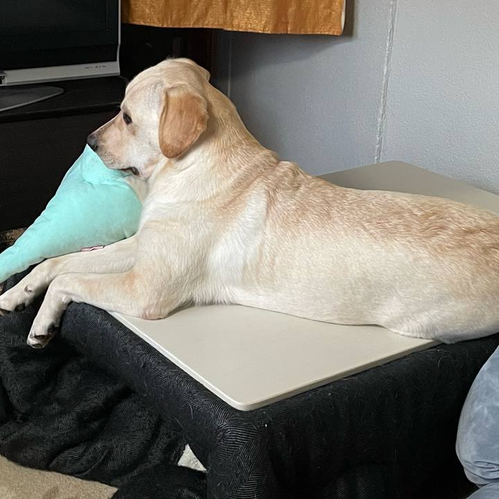 D4333795 dace 4706 bbbb 598a3093e4fe 1641515479428