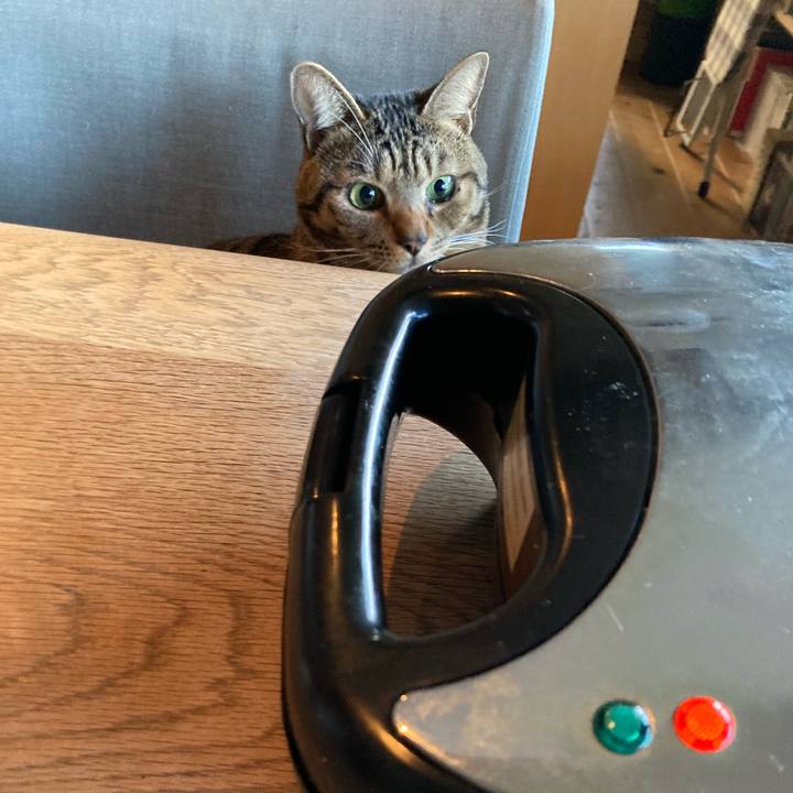 D43351c4 c6d5 4920 97fe 6ccf941529cf 1706280628494