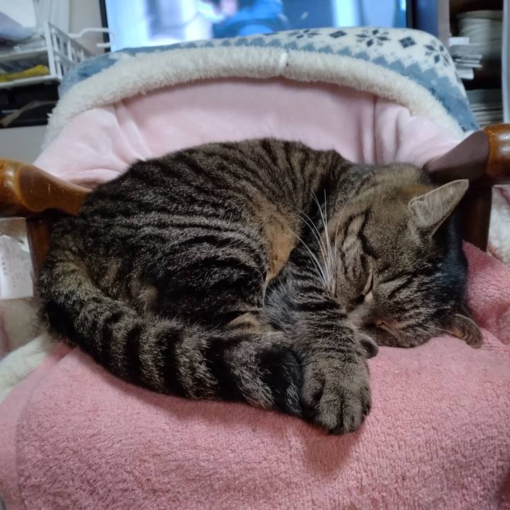 D433ddd6 1c1d 4958 918d 72fd1c8aaf09 1673420757143