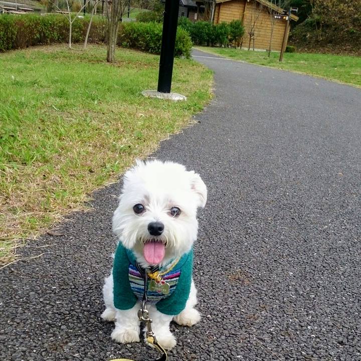 D434a486 9e19 4ef5 a85d a887e904a790 1509607131108