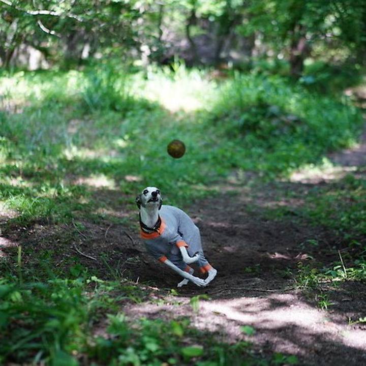 D434b65b 52ba 4c64 8d92 d0db72874404 1533716220019