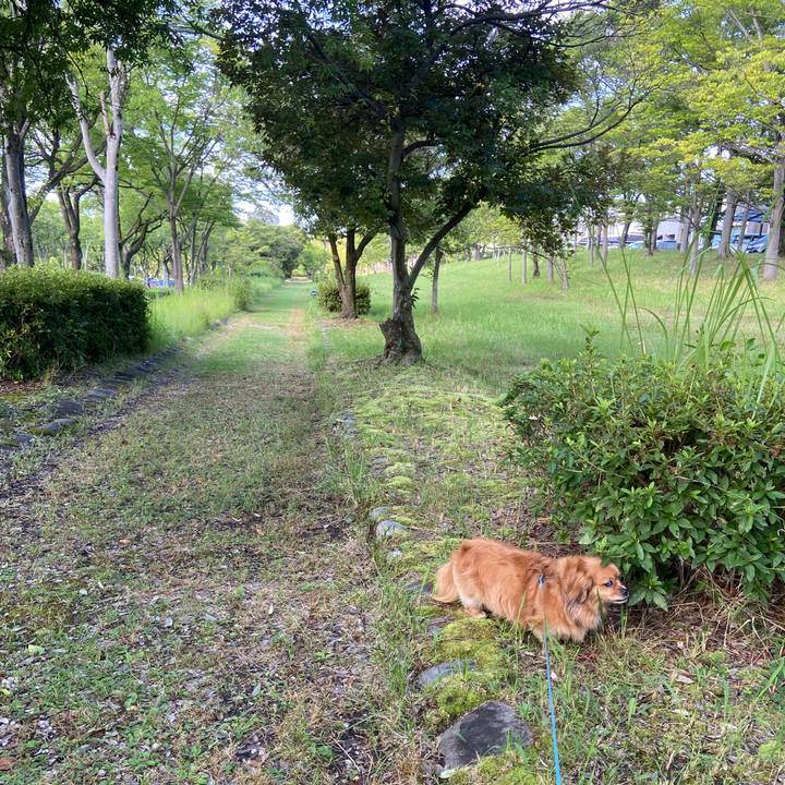 D434bd29 1472 43e7 9051 b11e96deefc9 1659829028739