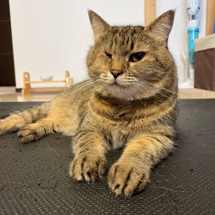 D434d5c4 a0c7 4ac3 baa0 ca150384c664 1660599888859