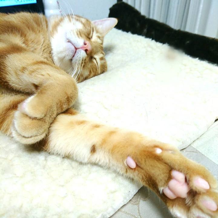 D434fb10 584d 422a 8462 fe9b45c5ed5c 1548250436675