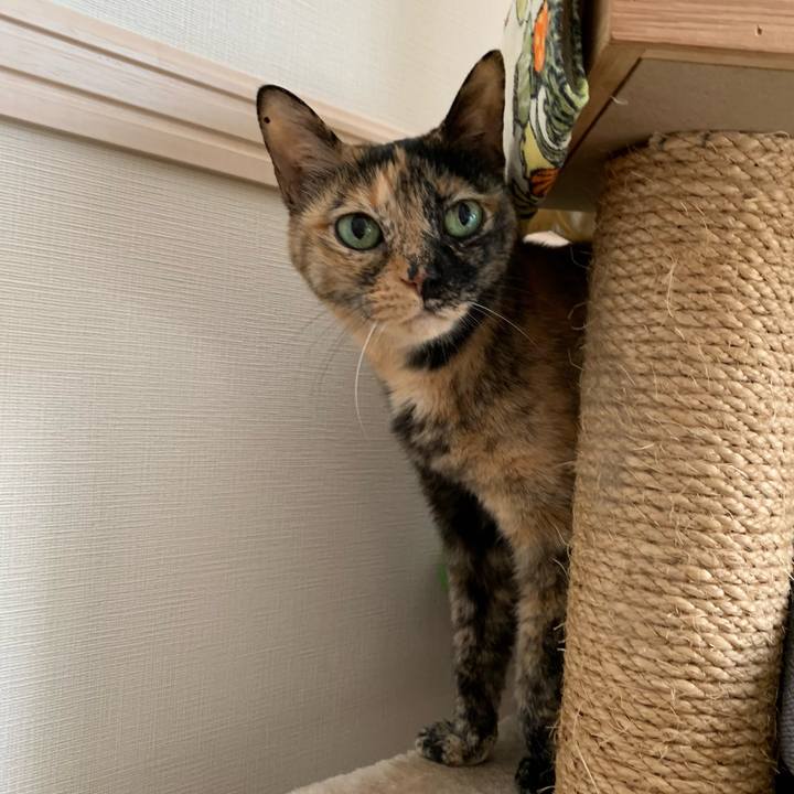 D43537c5 a745 4225 9af1 58a6d98e1d1a 1714393596086