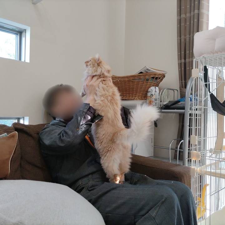 D4356129 704a 4a9e a75d fbd3f3729008 1674114801451