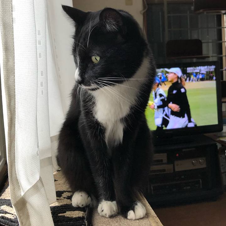 D4358de8 db54 4d06 8481 833594b29060 1575184648423