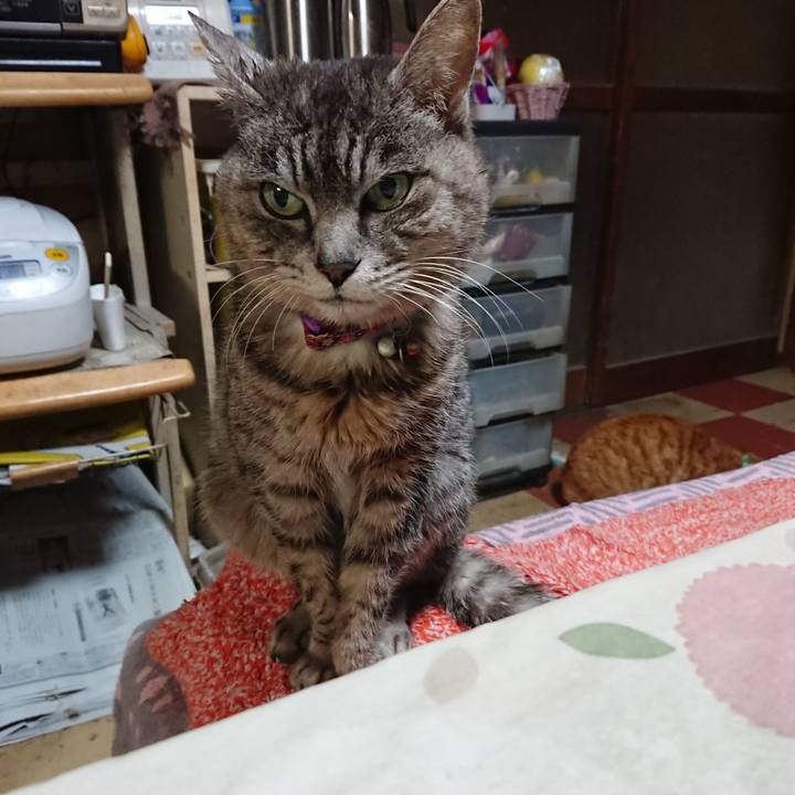 D4359618 a80a 4865 a491 5fe61b37f8ca 1584736192592