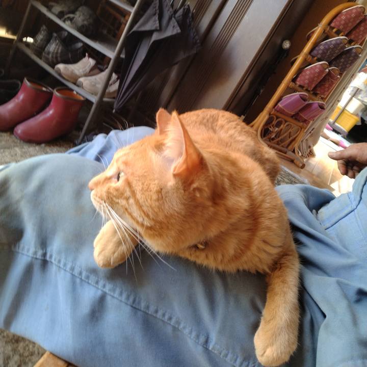 D4359c1b 698a 4eec 98f2 2e2623bcc0b9 1715847456093