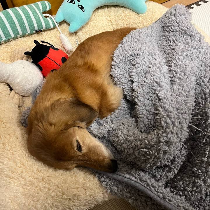 D435a737 ba26 446c 9ee6 4281e013c960 1642165337968