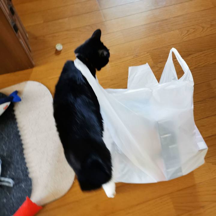 D435cbf7 66fa 407b a635 a36fbcb8950c 1654394293574