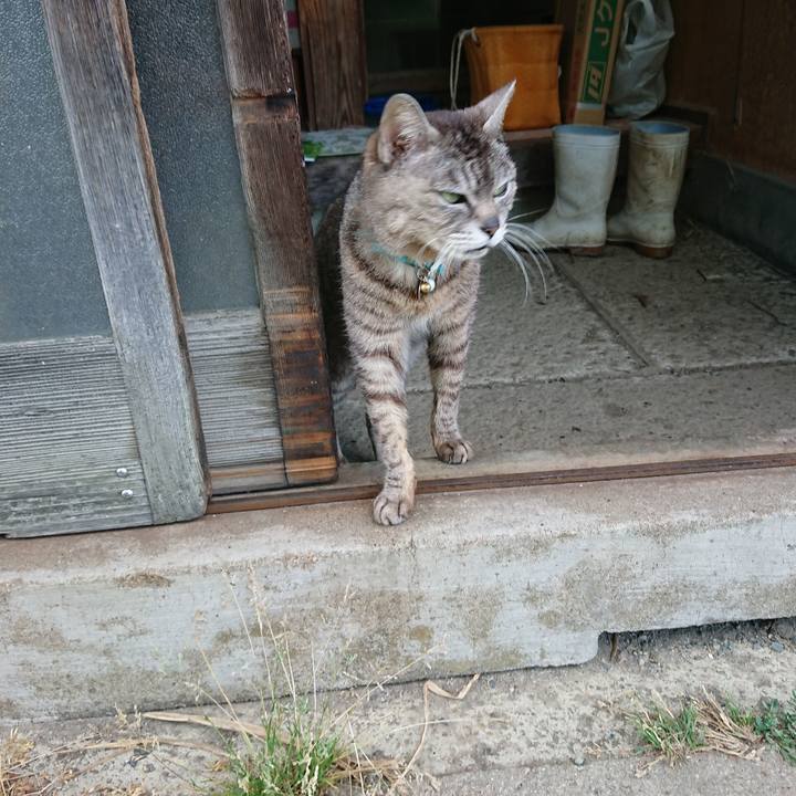 D435e099 edb9 4ccb 886d 2ec09d8cc5d0 1560332620303